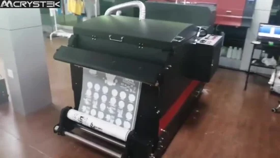 65 センチメートル T シャツ印刷機プログラム Byhx I3200 プリントヘッド DTF PET フィルムデジタルプリンター熱プレス機